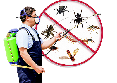 hhmsindia Pest Control